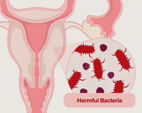 🌸 URO Probiótico Vaginal Vegano – COMBO 3 Frascos | Equilibrio y Bienestar Íntimo